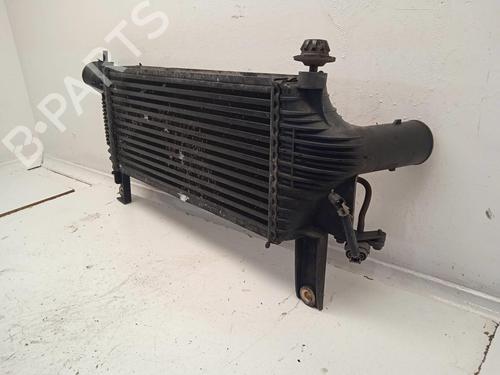 Intercooler NISSAN PATHFINDER III (R51) 2.5 dCi | BP11155969M30