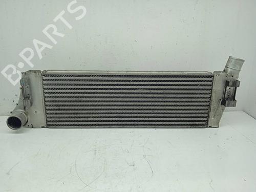 Intercooler RENAULT MEGANE II (BM0/1_, CM0/1_)  | BP11833736M30 