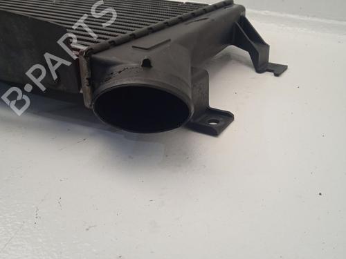 Intercooler JEEP COMPASS (MK49)  | BP31620979M30 