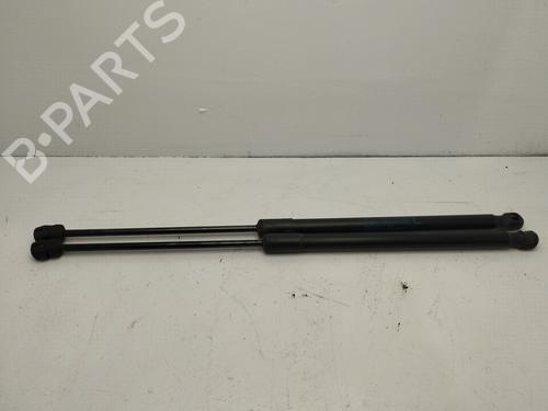 tailgate-lift-support-nissan-murano-ii-z51-2007-2008-2009-2010-2011-2012-2013-2014-25440217 main image
