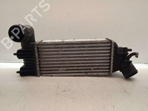 Used Intercooler Intercooler PEUGEOT 607 (9D, 9U) 2.2 HDi (133 hp) 4623462 4623462