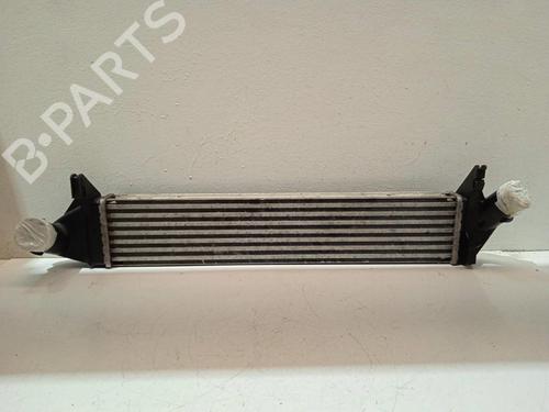 Intercooler DACIA SANDERO [2008-2026]  4335548