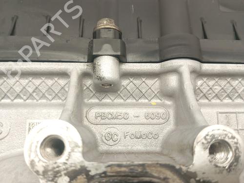 Cylinder head FORD FOCUS III  | BP31619649M5 