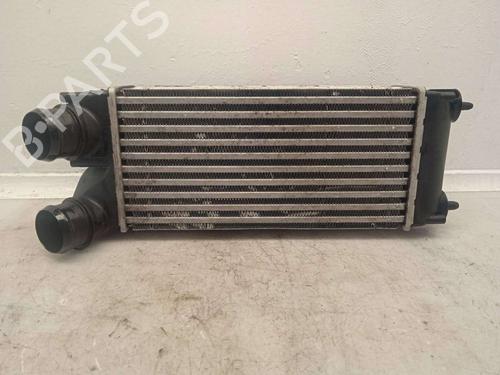 Used Intercooler Intercooler PEUGEOT 5008 (0U_, 0E_) [2009-2017] 11161280 11161280