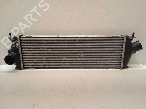 Intercooler NISSAN PRIMASTAR Van (X83) [2002-2026]  4296025