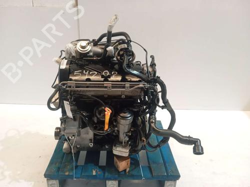 Używane Silnik SEAT IBIZA III (6L1) [2002-2009]  31616330