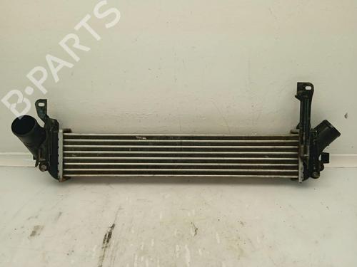 Intercooler RENAULT KANGOO (KC0/1_) 1.5 dCi (68 hp) 11154512