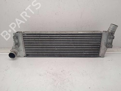 Used Intercooler Intercooler RENAULT GRAND SCÉNIC II (JM0/1_) [2004-2009] 12447109 12447109