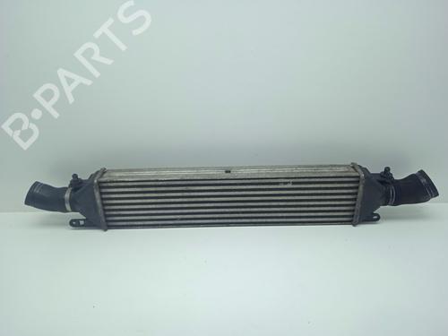 Used Intercooler Intercooler LANCIA DELTA III (844_) [2008-2014] 36074098 36074098
