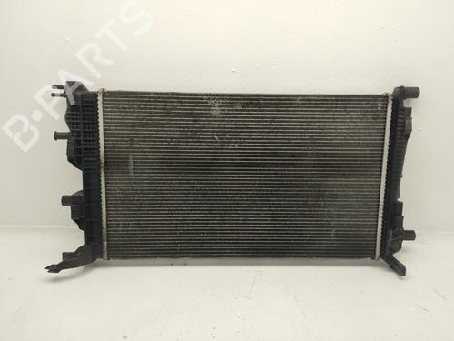 Used Water radiator RENAULT MEGANE III Hatchback (BZ0/1_, B3_) [2008-2026]  31806237
