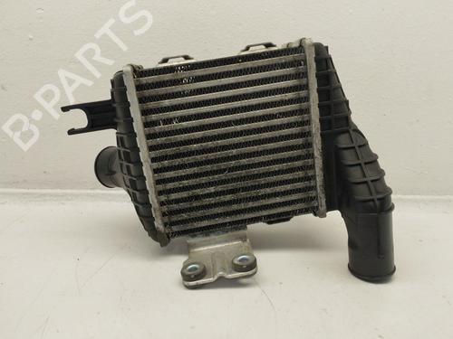 Intercooler Intercooler HYUNDAI TUCSON (JM) 2.0 CRDi (136 hp) 34495706 34495706
