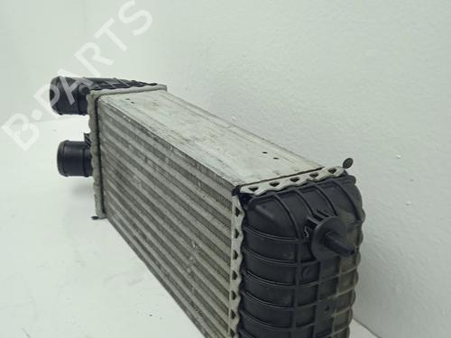 Intercooler CITROËN C-ELYSEE (DD_) 1.5 BlueHDi 100 | BP32210518M30 - Image 3