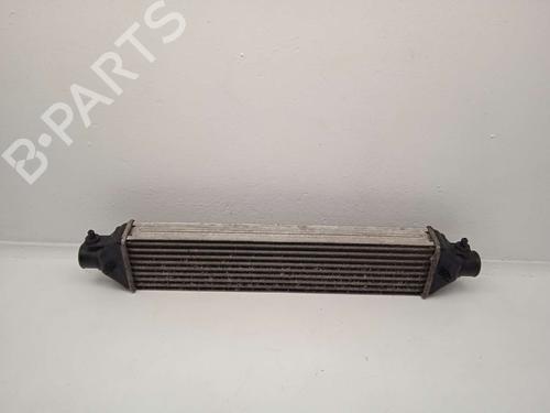 Used Intercooler FIAT BRAVO II (198_) 1.6 D Multijet (198AXH1B) (105 hp) 31617113