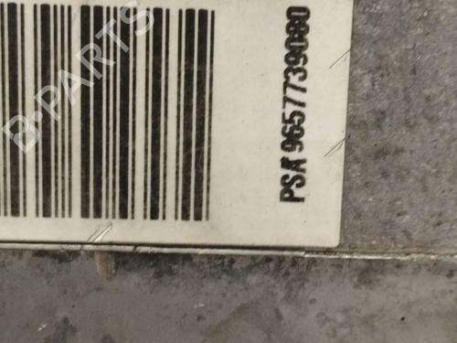 Steering pump CITROËN C5 II (RC_) | BP24980022M99