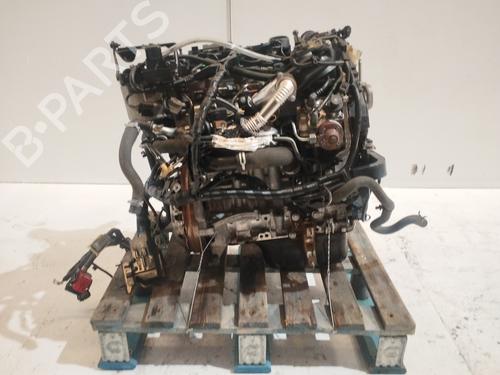 Motor FORD FIESTA VI (CB1, CCN) [2008-2026]  31617632
