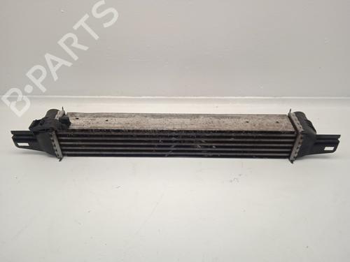Intercooler CITROËN NEMO Box Body/MPV (AA_) | BP24052737M30