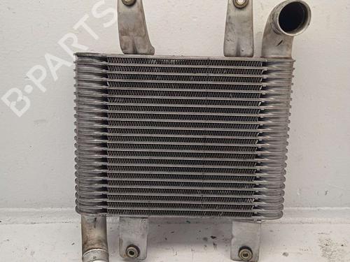 Used Intercooler Intercooler HYUNDAI TERRACAN (HP) [2001-2008] 33048344 33048344