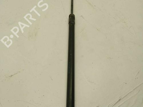 Used Hood lift support RENAULT MEGANE III Hatchback (BZ0/1_, B3_) [2008-2026]  16684029