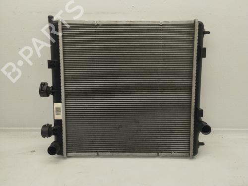 water-radiator-citroen-c3-ii-sc_-87960000-2009-19066721 main image