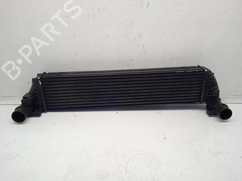 intercooler-renault-laguna-ii-bg01_-8200292773a-2001-2002-2003-2004-2005-2006-2007-11165976 main image