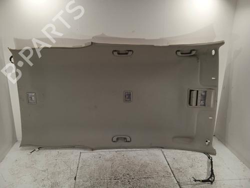 Tecto interior CHEVROLET CAPTIVA (C100, C140) [2006-2026]  11155761