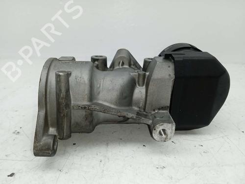 Egr CITROËN C5 II (RC_) | BP24980025M69