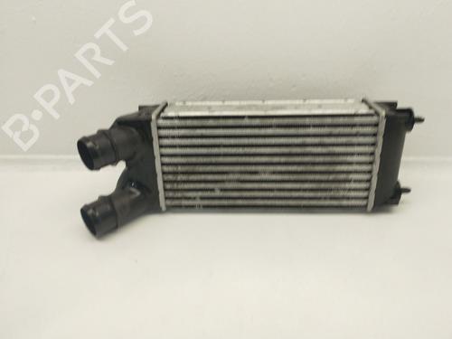 Used Intercooler Intercooler CITROËN BERLINGO / BERLINGO FIRST MPV (MF_, GJK_, GFK_) 1.6 HDI 90 (MF9HX) (90 hp) 40096858 40096858