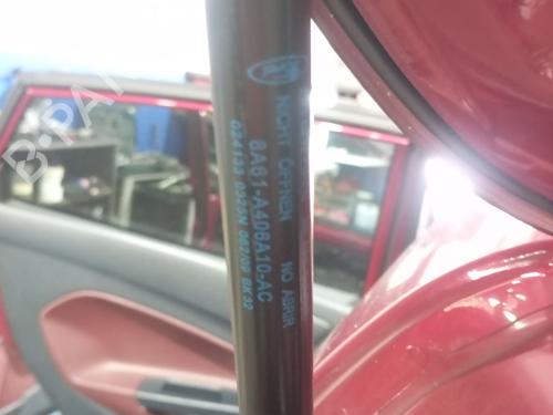 Tailgate lift support FORD FIESTA VI (CB1, CCN)  | BP31619469C138 