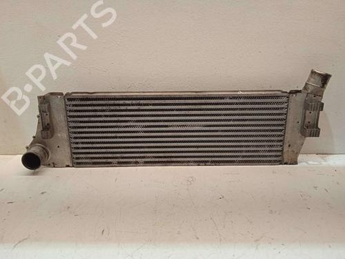 Used Intercooler Intercooler RENAULT MEGANE II (BM0/1_, CM0/1_) [2001-2012] 4285270 4285270