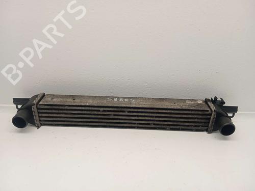 Used Intercooler Intercooler PEUGEOT BIPPER (AA_) [2008-2026] 36049591 36049591