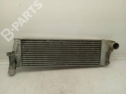 Used Intercooler Intercooler RENAULT MEGANE II Estate (KM0/1_) 1.5 dCi (KM16, KM1E) (106 hp) 11154768 11154768