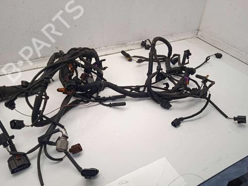 Wiring harness AUDI A5 (8T3) 3.0 TDI quattro | BP20137681E16