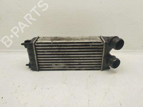 intercooler-citroen-berlingo-multispace-b9-2008-40096900 main image