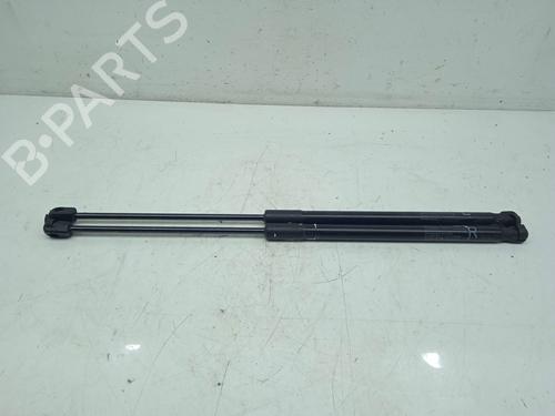 Gasdæmper bagklap SUZUKI SWIFT V (AZ) [2017-2026]  16085495