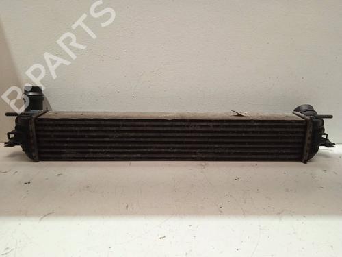 Intercooler RENAULT LAGUNA III (BT0/1) | BP4369073M30