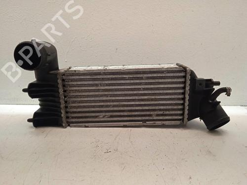 Intercooler PEUGEOT 607 (9D, 9U) 2.2 HDi (133 hp) 4623462