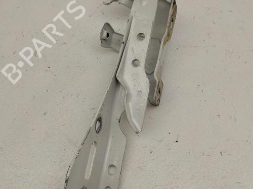 Hinge/Door check strap HONDA CIVIC X Hatchback (FC_, FK_) 2.0 Type-R (FK8) | BP23843747C146