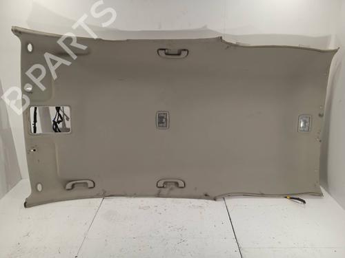 Tecto interior CHEVROLET CAPTIVA (C100, C140) [2006-2026]  11158456