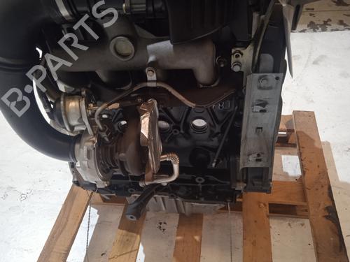 Engine RENAULT CLIO II (BB_, CB_)  | BP4288076M1 