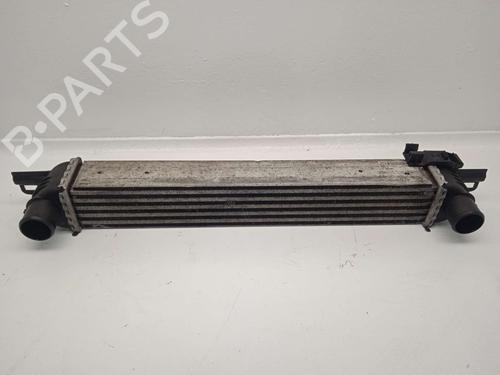 Used Intercooler CITROËN NEMO Box Body/MPV (AA_) [2008-2026]  24052737