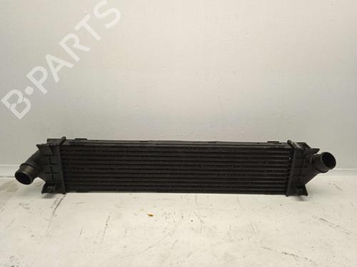 Used Intercooler FORD GALAXY II (WA6) [2006-2015]  16419062