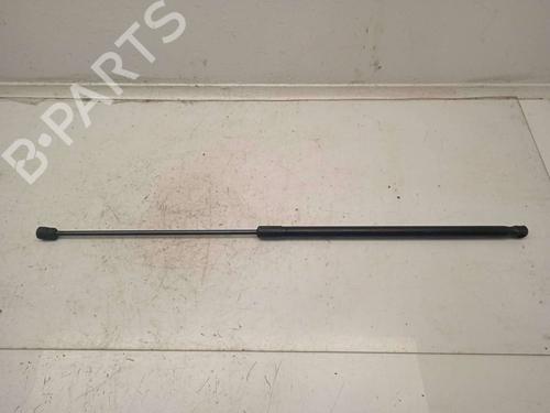 Used Hood lift support VW GOLF V (1K1) 1.9 TDI (105 hp) 13963115