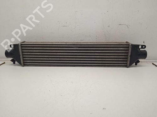 Used Intercooler FIAT BRAVO II (198_) [2006-2016]  11155818
