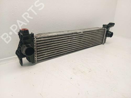 Intercooler MERCEDES-BENZ VITO Van (W447) | BP31620006M30