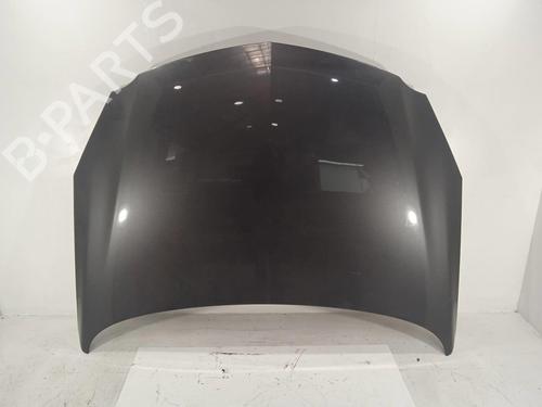 Used Hood OPEL INSIGNIA A (G09) 2.0 CDTI (68) (131 hp) 12545055