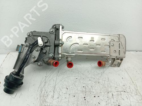 EGR-Ventil JEEP COMPASS (MK49) | BP31804844M69