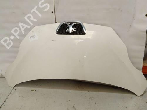 BP4358232C1 main image