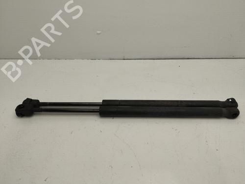 Amortecedor do capot NISSAN MURANO II (Z51) 3.5 4x4 (256 hp) 25440264