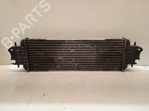 Intercooler NISSAN PRIMASTAR Van (X83) | BP4264273M30