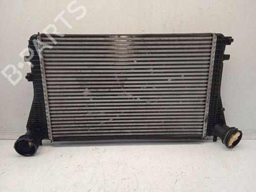 Used Intercooler Intercooler VW GOLF V (1K1) 1.9 TDI (105 hp) 4354284 4354284